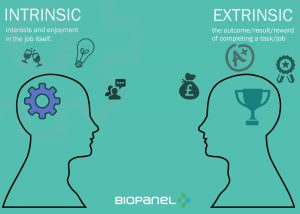 intrinsic and extrinsic