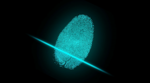 finger print scan 